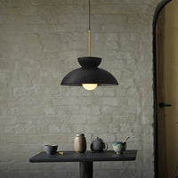 Nordic Resin Dining Pendant Lamp