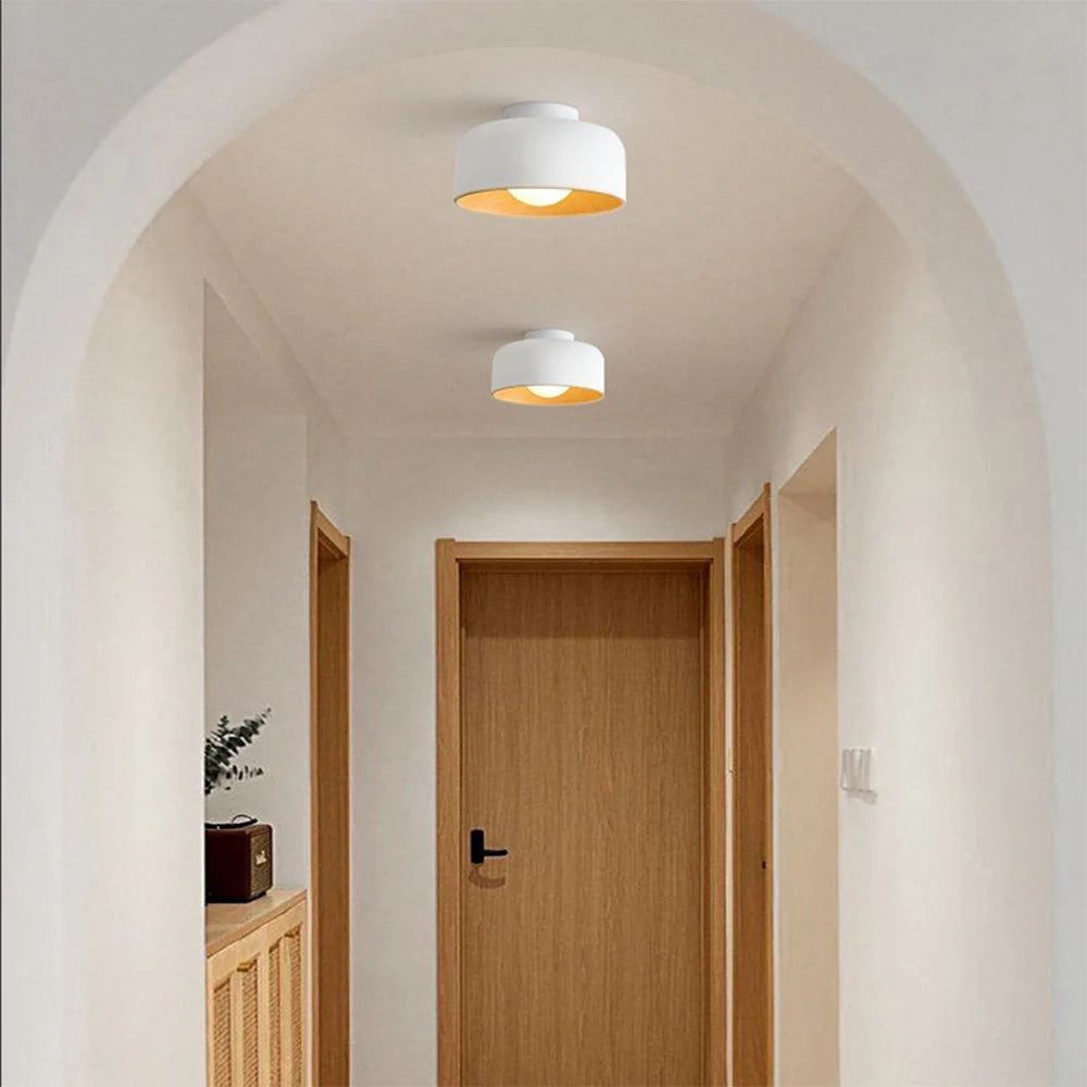 Modern Bowl Metal Flush Ceiling Light