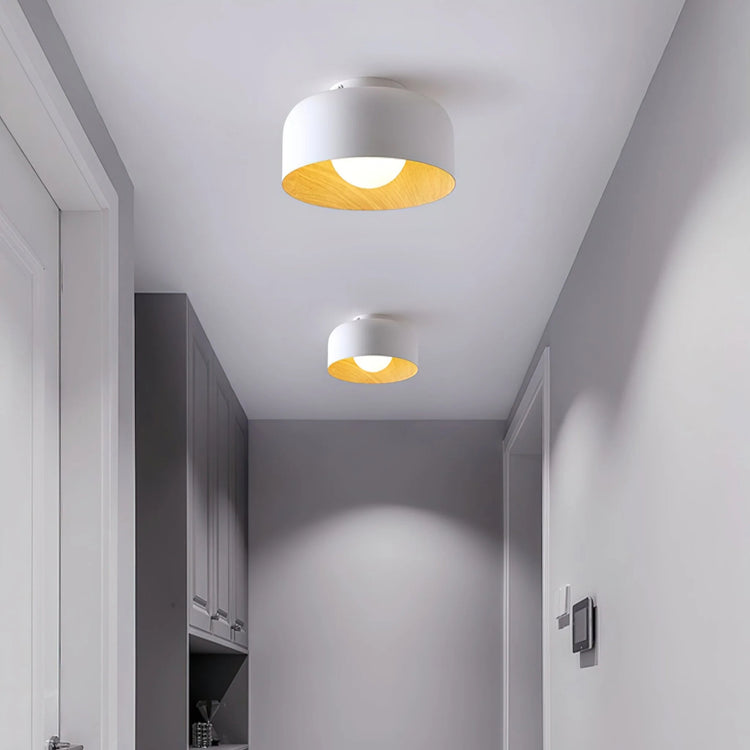 Lampada da soffitto TerraGlow