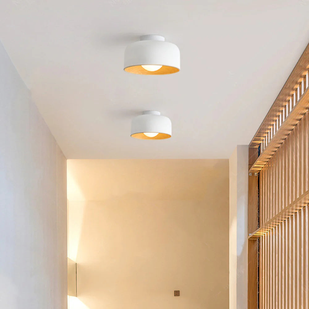 Modern Bowl Metal Flush Ceiling Light