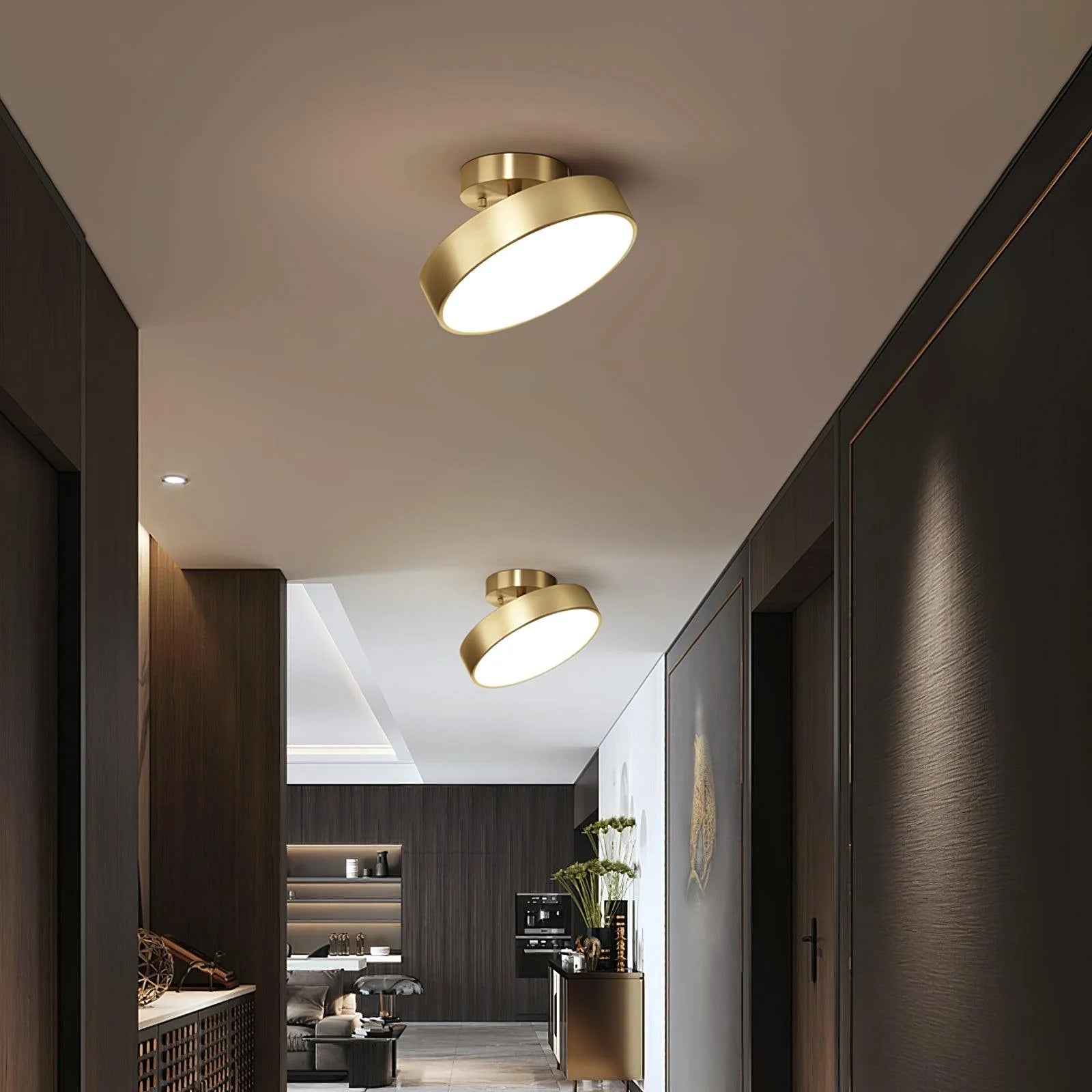 Elegant Disk Copper Ceiling Light