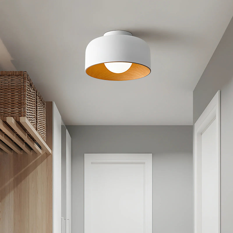 Simple Dome Iron Ceiling Light