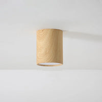 Macaroon Style LED Ceiling Light