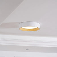Kalen minimalistisch plafondlamp