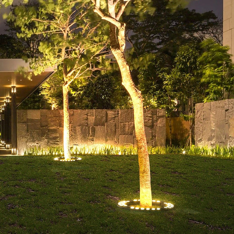 Elegant Outdoor Tree Highlight Spotlight – Glare Fusion