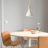 Levendige kegel modern hanglamp