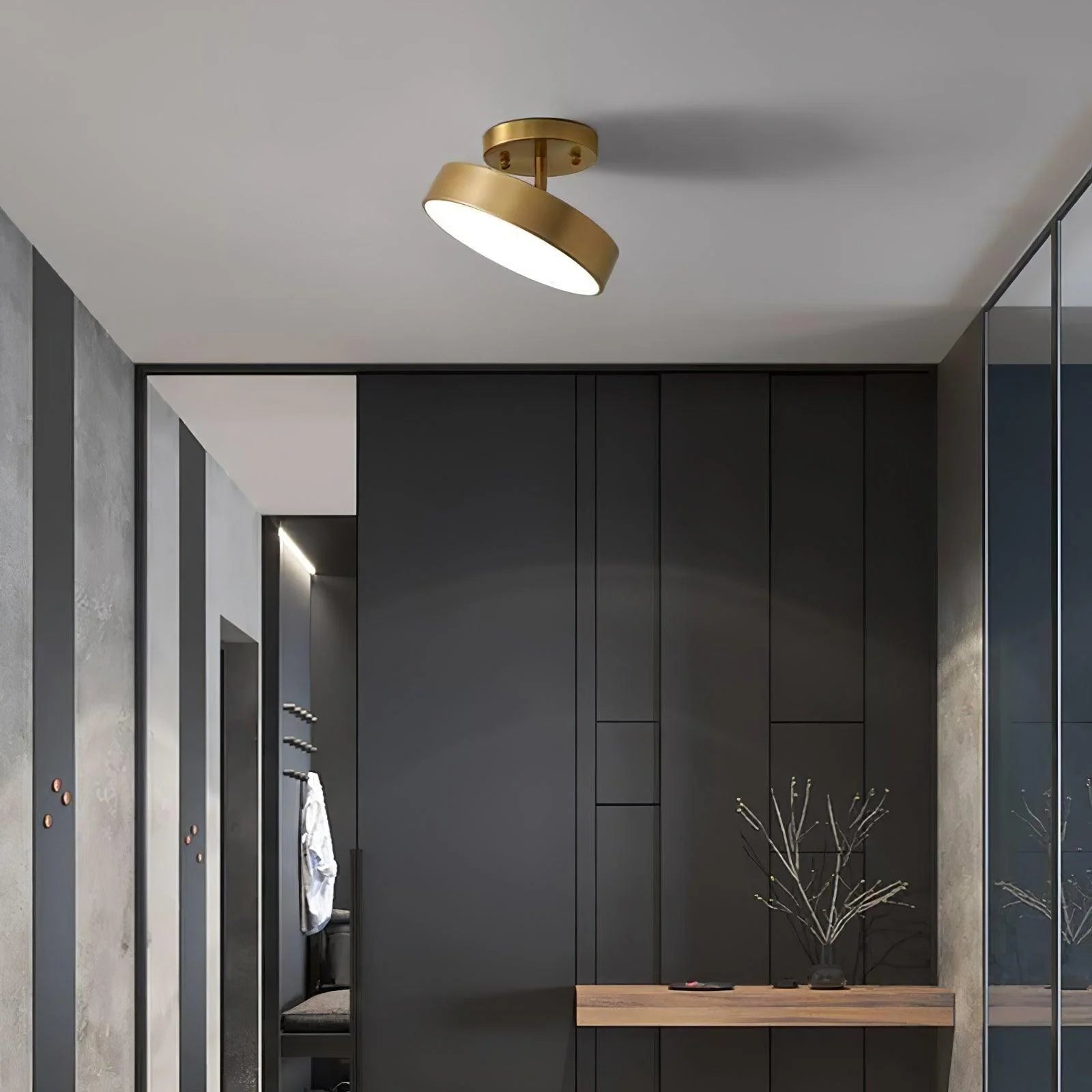 Elegant Disk Copper Ceiling Light