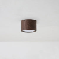 Macaroon Style LED Ceiling Light