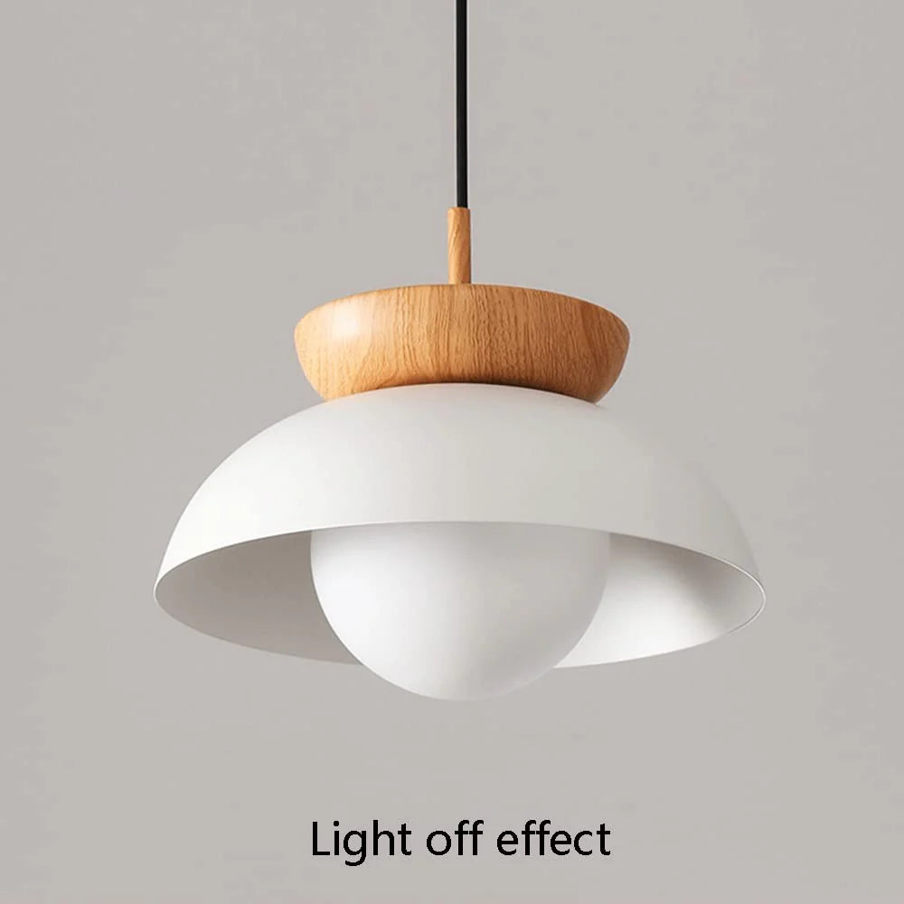 Modern Round Metal Ceiling Light