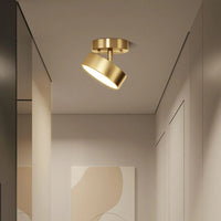 Axiom roterend plafondlicht