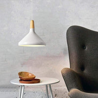 Levendige kegel modern hanglamp