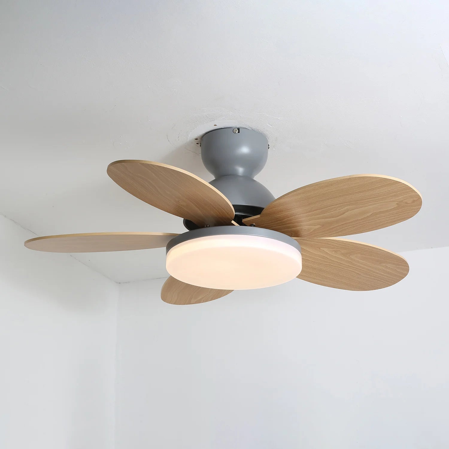 Colorful PetalGlow Acrylic Fan Light