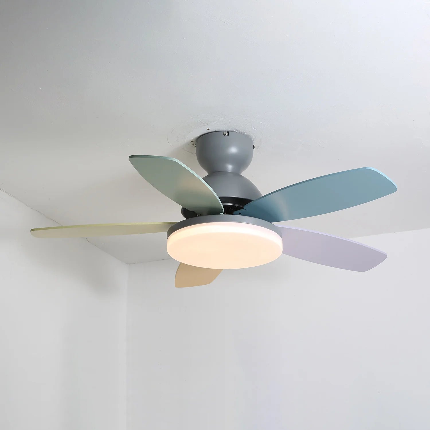 Colorful PetalGlow Acrylic Fan Light