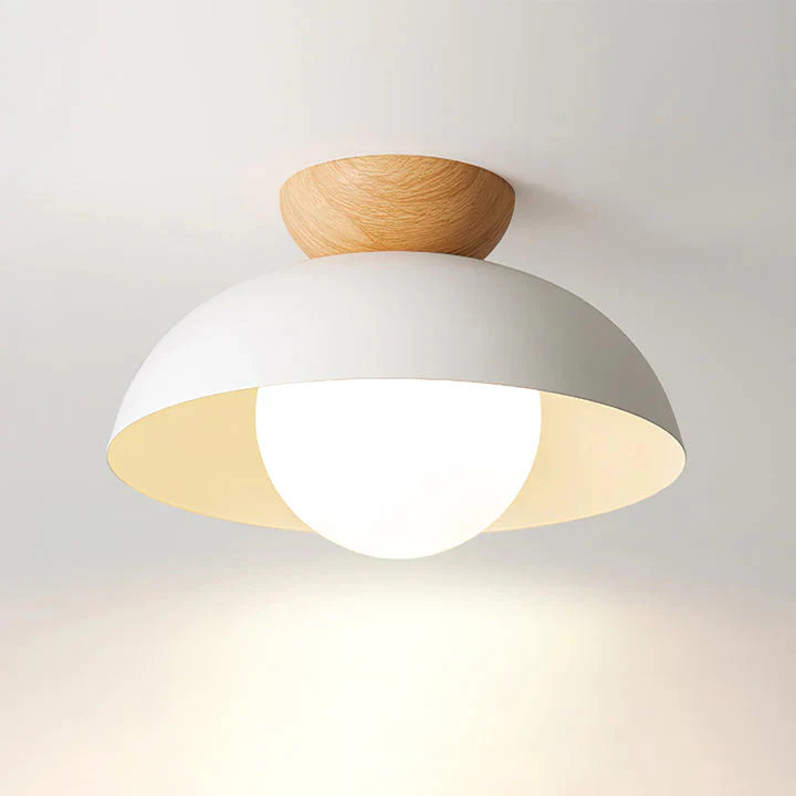 Modern Round Metal Ceiling Light