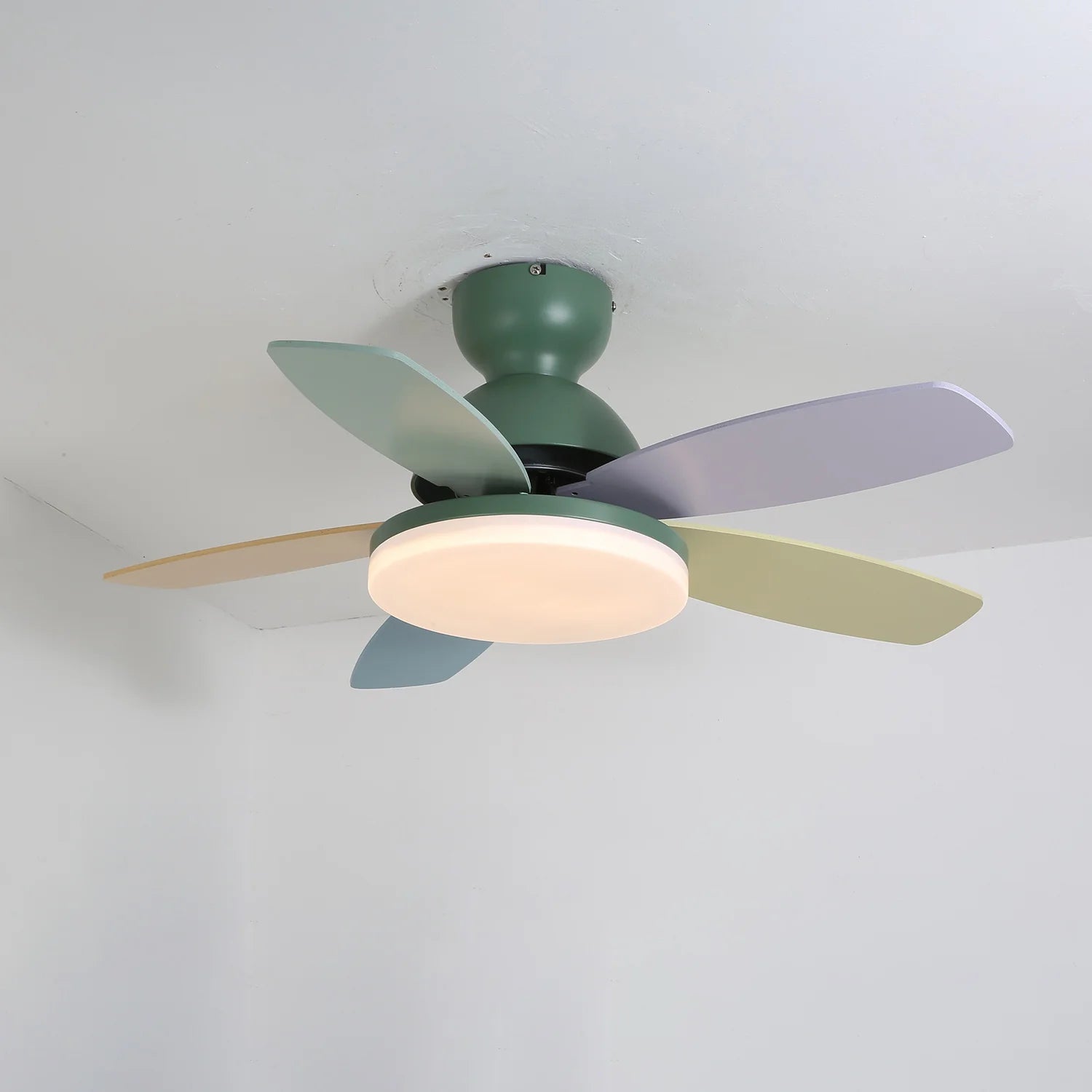 Colorful PetalGlow Acrylic Fan Light