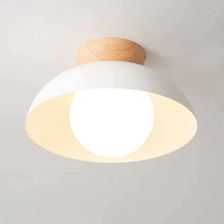Modern Round Metal Ceiling Light