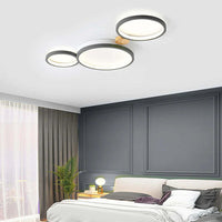 Artistic Circular Iron LED Ceiling Light