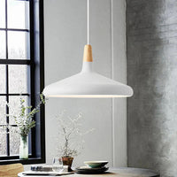 Levendige kegel modern hanglamp