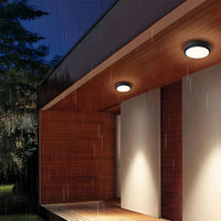 Outdoor Waterproof Ceiling Light
