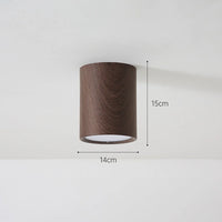 Macaroon Style LED Ceiling Light
