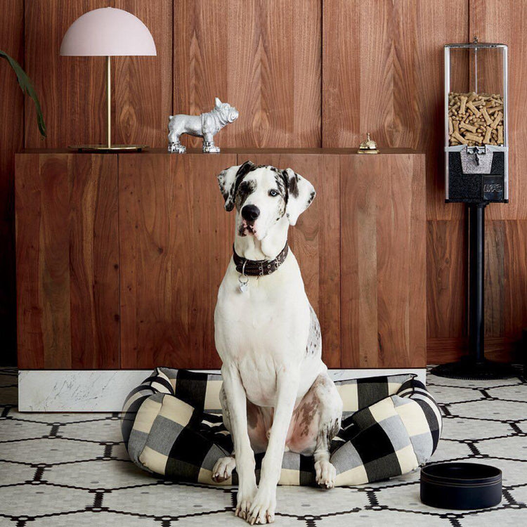 Finurlig kuppel jern bordlampe