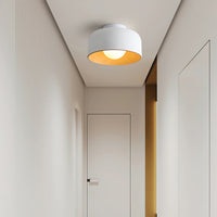 Luce a soffitto Terraglow