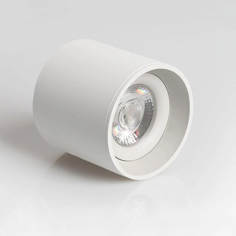 Minimalis LumePoint Cylinder Ceiling Light