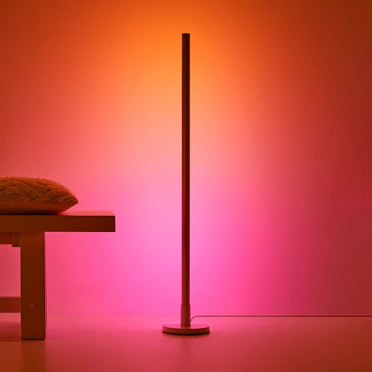 Trendy Sleek Minimalist Plastic Floor Lamp