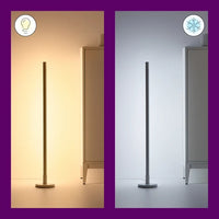 Trendy Sleek Minimalist Plastic Floor Lamp