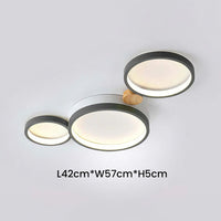 Artistic Circular Iron LED Ceiling Light