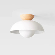Modern Round Metal Ceiling Light