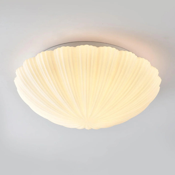 Aurora Shell loftlys