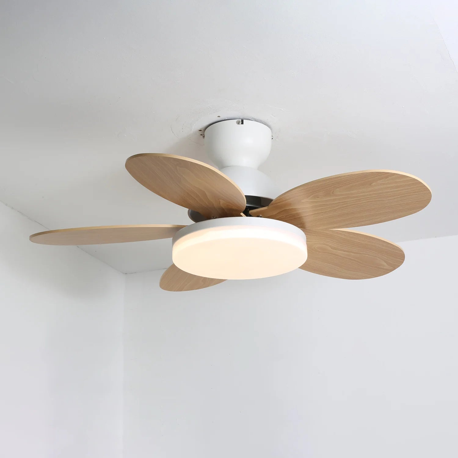Colorful PetalGlow Acrylic Fan Light