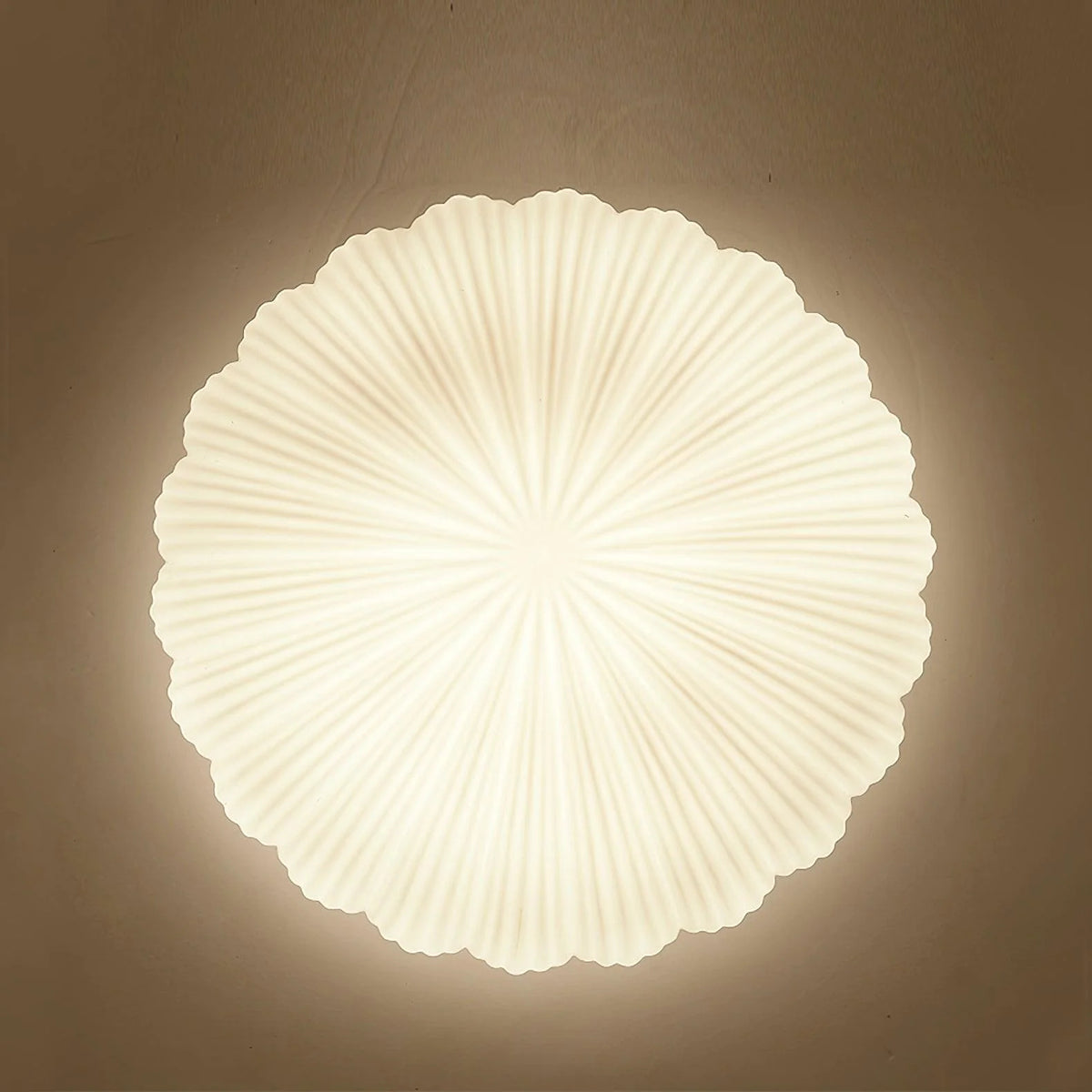 Aurora Shell loftlys