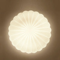 Aurora Shell loftlys