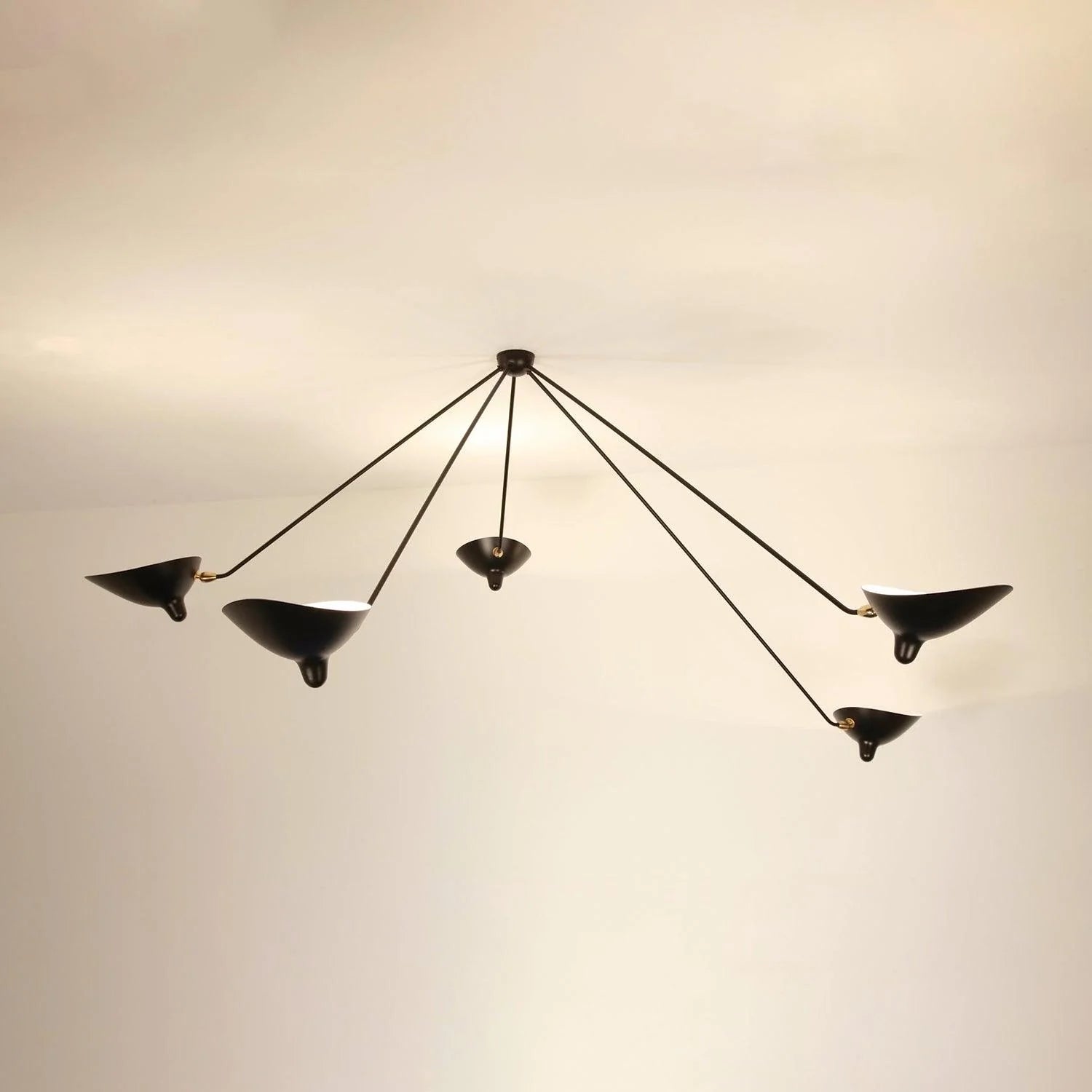 Stylish Celestial Curve Metal Ceiling Light