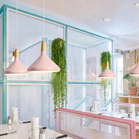 Levendige kegel modern hanglamp