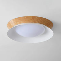 Lampe à plafond jumelle de Luna