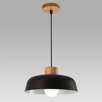 Nordic afgezwakt metalen hanglamp
