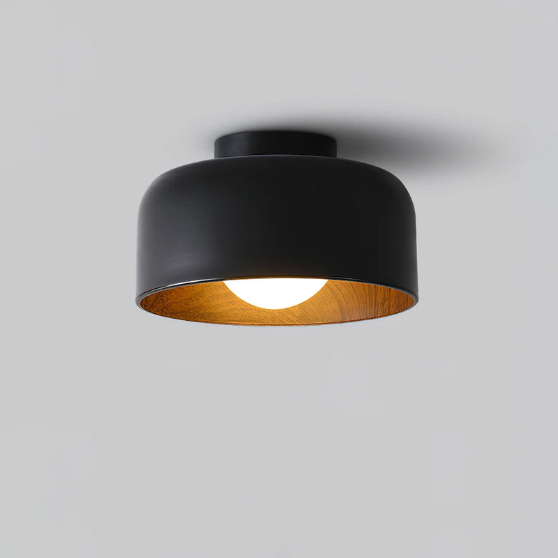 Simple Dome Iron Ceiling Light