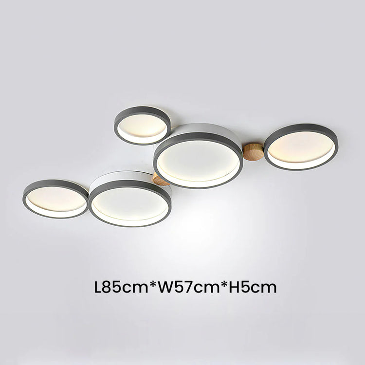Artistic Circular Iron LED Ceiling Light