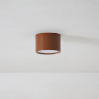 Macaroon Style LED Ceiling Light