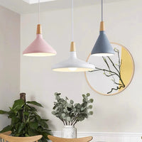 Levendige kegel modern hanglamp