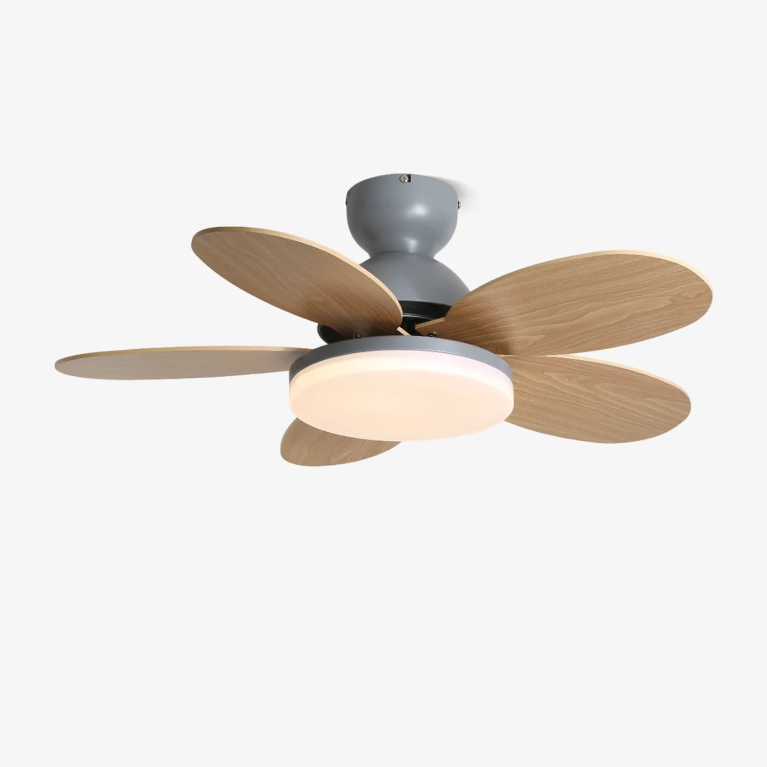 Colorful PetalGlow Acrylic Fan Light