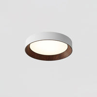 Kalen minimalistisch plafondlamp