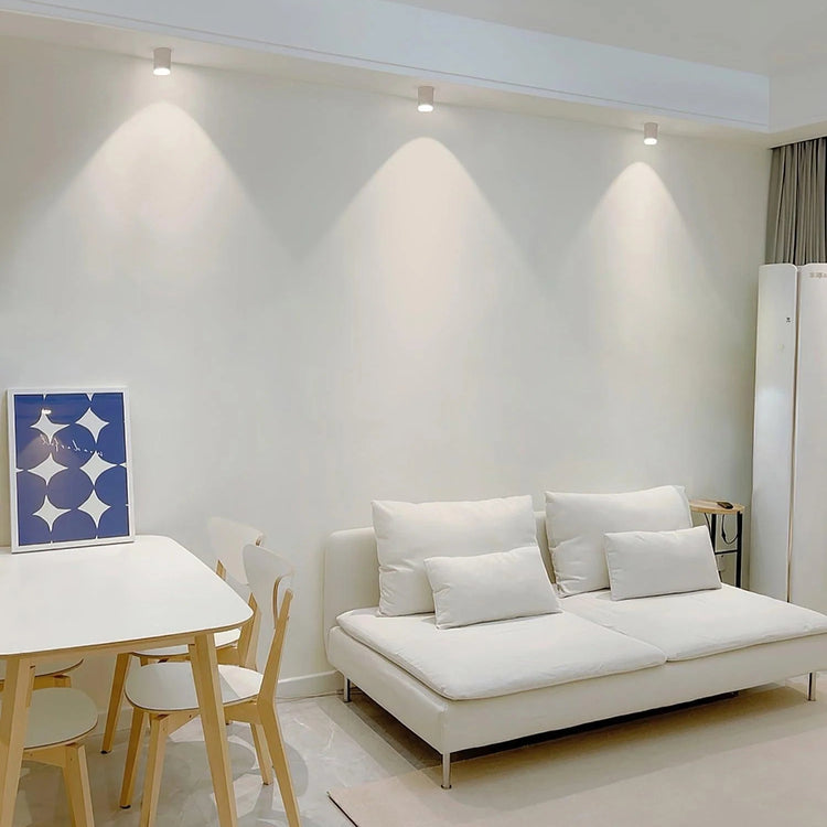 Minimalis LumePoint Cylinder Ceiling Light