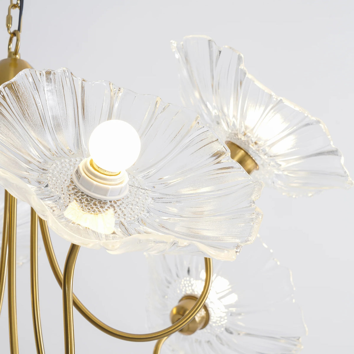 Lustre de l'éclairage Lotus Bloom