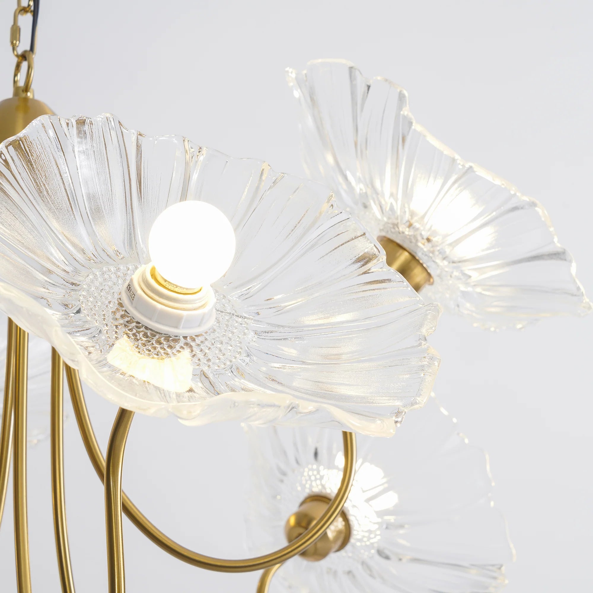 Lampadario con illuminazione Lotus Bloom