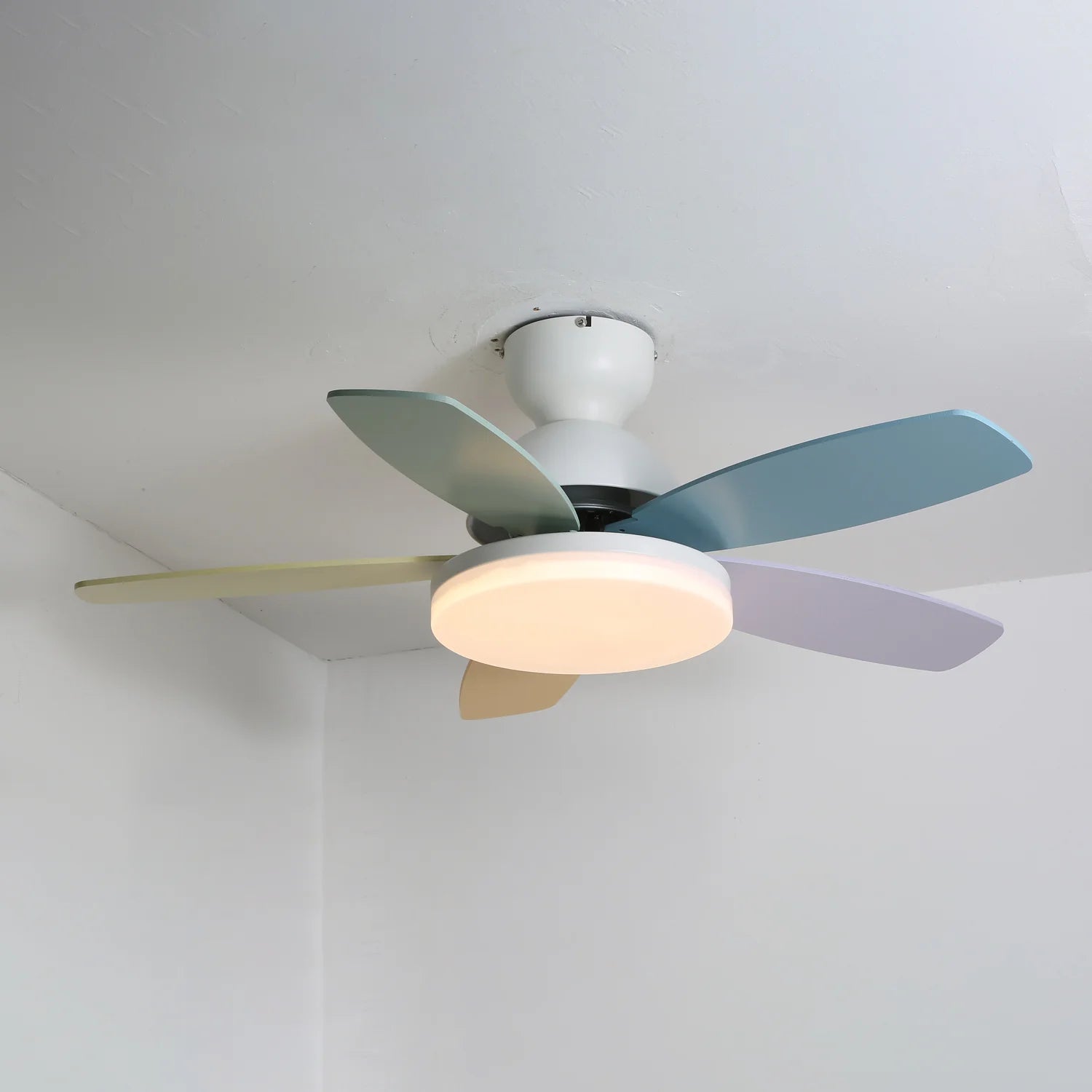Colorful PetalGlow Acrylic Fan Light