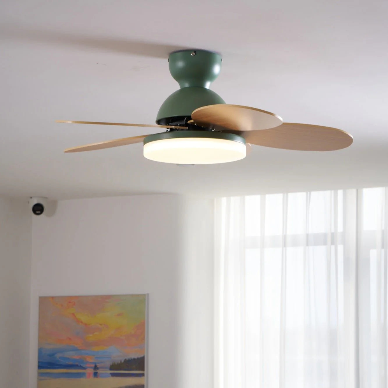 Colorful PetalGlow Acrylic Fan Light